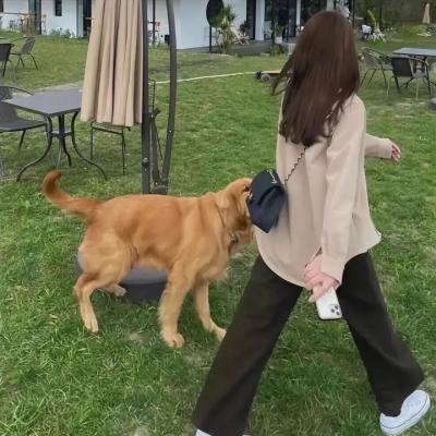 了不起的狐狸爸爸